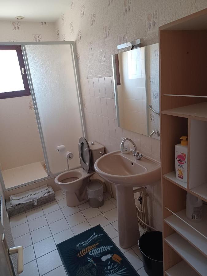 Dynamique Et Splendide Appartement Bourgoin-Jallieu Buitenkant foto